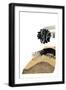 Black Frame