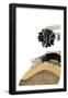 Essential Black