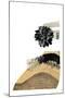 Wood Mount