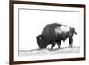 Line Art/Pen and Ink Illustration Style Image of American Bison (Buffalo) Skylined on a Ridge Again-photographhunter-Framed Photographic Print