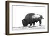 Line Art/Pen and Ink Illustration Style Image of American Bison (Buffalo) Skylined on a Ridge Again-photographhunter-Framed Photographic Print