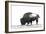 Line Art/Pen and Ink Illustration Style Image of American Bison (Buffalo) Skylined on a Ridge Again-photographhunter-Framed Photographic Print