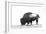 Line Art/Pen and Ink Illustration Style Image of American Bison (Buffalo) Skylined on a Ridge Again-photographhunter-Framed Photographic Print