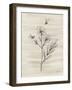 Line Bees-Yvette St. Amant-Framed Art Print