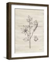 Line Butterfly-Yvette St. Amant-Framed Art Print