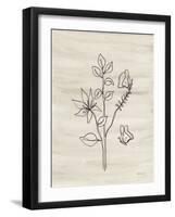 Line Butterfly-Yvette St. Amant-Framed Art Print