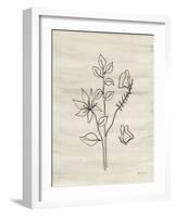 Line Butterfly-Yvette St. Amant-Framed Art Print