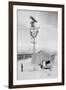 Line Crew at Work in Manzanar-Ansel Adams-Framed Art Print