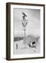 Line Crew at Work in Manzanar-Ansel Adams-Framed Art Print