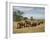 Line of African Elephants (Loxodonta Africana), Samburu National Reserve, Kenya, East Africa-James Hager-Framed Photographic Print