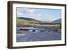 Line of Bison (Bison Bison) Crossing the Lamar River-James Hager-Framed Photographic Print