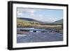 Line of Bison (Bison Bison) Crossing the Lamar River-James Hager-Framed Photographic Print