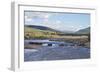 Line of Bison (Bison Bison) Crossing the Lamar River-James Hager-Framed Photographic Print