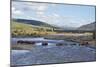 Line of Bison (Bison Bison) Crossing the Lamar River-James Hager-Mounted Photographic Print