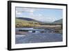 Line of Bison (Bison Bison) Crossing the Lamar River-James Hager-Framed Photographic Print