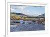 Line of Bison (Bison Bison) Crossing the Lamar River-James Hager-Framed Photographic Print