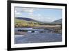 Line of Bison (Bison Bison) Crossing the Lamar River-James Hager-Framed Photographic Print