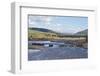 Line of Bison (Bison Bison) Crossing the Lamar River-James Hager-Framed Photographic Print