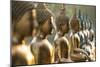 Line of Buddha statues, Seema Malaka temple on Beira Lake. Colombo, Sri Lanka-Peter Adams-Mounted Photographic Print