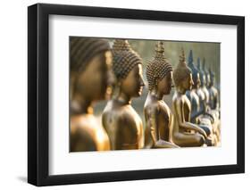 Line of Buddha statues, Seema Malaka temple on Beira Lake. Colombo, Sri Lanka-Peter Adams-Framed Photographic Print