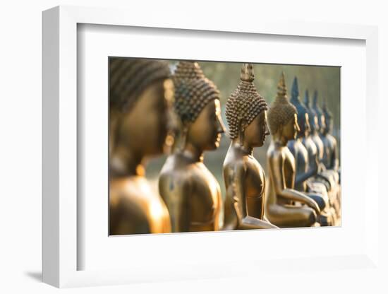 Line of Buddha statues, Seema Malaka temple on Beira Lake. Colombo, Sri Lanka-Peter Adams-Framed Photographic Print