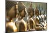 Line of Buddha statues, Seema Malaka temple on Beira Lake. Colombo, Sri Lanka-Peter Adams-Mounted Photographic Print