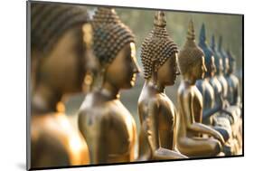 Line of Buddha statues, Seema Malaka temple on Beira Lake. Colombo, Sri Lanka-Peter Adams-Mounted Photographic Print