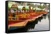 Line of Colourful Boats at the Floating Gardens in Xochimilco-John Woodworth-Framed Stretched Canvas