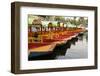 Line of Colourful Boats at the Floating Gardens in Xochimilco-John Woodworth-Framed Photographic Print