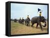 Line of Elephants in a Soccer Team During November Elephant Round-Up Festival, Surin City, Thailand-Alain Evrard-Framed Stretched Canvas