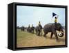 Line of Elephants in a Soccer Team During November Elephant Round-Up Festival, Surin City, Thailand-Alain Evrard-Framed Stretched Canvas