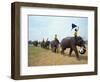 Line of Elephants in a Soccer Team During November Elephant Round-Up Festival, Surin City, Thailand-Alain Evrard-Framed Photographic Print