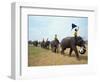 Line of Elephants in a Soccer Team During November Elephant Round-Up Festival, Surin City, Thailand-Alain Evrard-Framed Photographic Print
