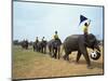 Line of Elephants in a Soccer Team During November Elephant Round-Up Festival, Surin City, Thailand-Alain Evrard-Mounted Photographic Print