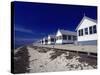 Line of Ocean Front Cottages, Cape Cod-Gary D^ Ercole-Stretched Canvas