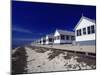 Line of Ocean Front Cottages, Cape Cod-Gary D^ Ercole-Mounted Premium Photographic Print