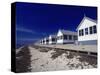 Line of Ocean Front Cottages, Cape Cod-Gary D^ Ercole-Stretched Canvas