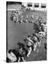 Line of People Making Snakelike Pattern as They Head for Inner Tube Floating Party on Apple River-Alfred Eisenstaedt-Stretched Canvas