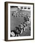 Line of People Making Snakelike Pattern as They Head for Inner Tube Floating Party on Apple River-Alfred Eisenstaedt-Framed Photographic Print