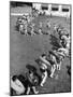 Line of People Making Snakelike Pattern as They Head for Inner Tube Floating Party on Apple River-Alfred Eisenstaedt-Mounted Photographic Print