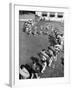 Line of People Making Snakelike Pattern as They Head for Inner Tube Floating Party on Apple River-Alfred Eisenstaedt-Framed Photographic Print