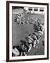 Line of People Making Snakelike Pattern as They Head for Inner Tube Floating Party on Apple River-Alfred Eisenstaedt-Framed Photographic Print