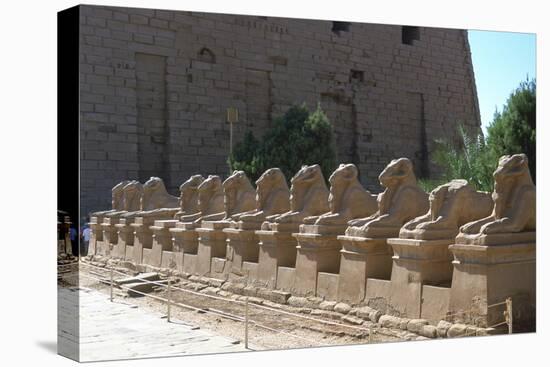 Line of Ram-Headed Sphinxes, Temple of Rameses Ii, Karnak, Egypt, 13th Century Bc-null-Stretched Canvas