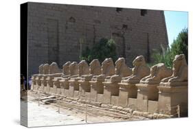 Line of Ram-Headed Sphinxes, Temple of Rameses Ii, Karnak, Egypt, 13th Century Bc-null-Stretched Canvas