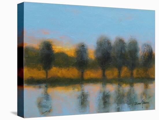 Line of Reflections-Thomas Stotts-Stretched Canvas