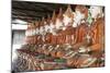 Line of Seated Buddhas at the Maha Bodhi Ta Htaung Monastery, Sagaing Division, Myanmar (Burma)-Annie Owen-Mounted Photographic Print