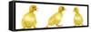 Line of Three Ducklings-null-Framed Stretched Canvas