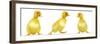 Line of Three Ducklings-null-Framed Photographic Print