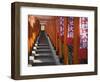 Line of torii gates at Hie Shrine-Jonathan Hicks-Framed Photographic Print