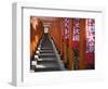 Line of torii gates at Hie Shrine-Jonathan Hicks-Framed Photographic Print